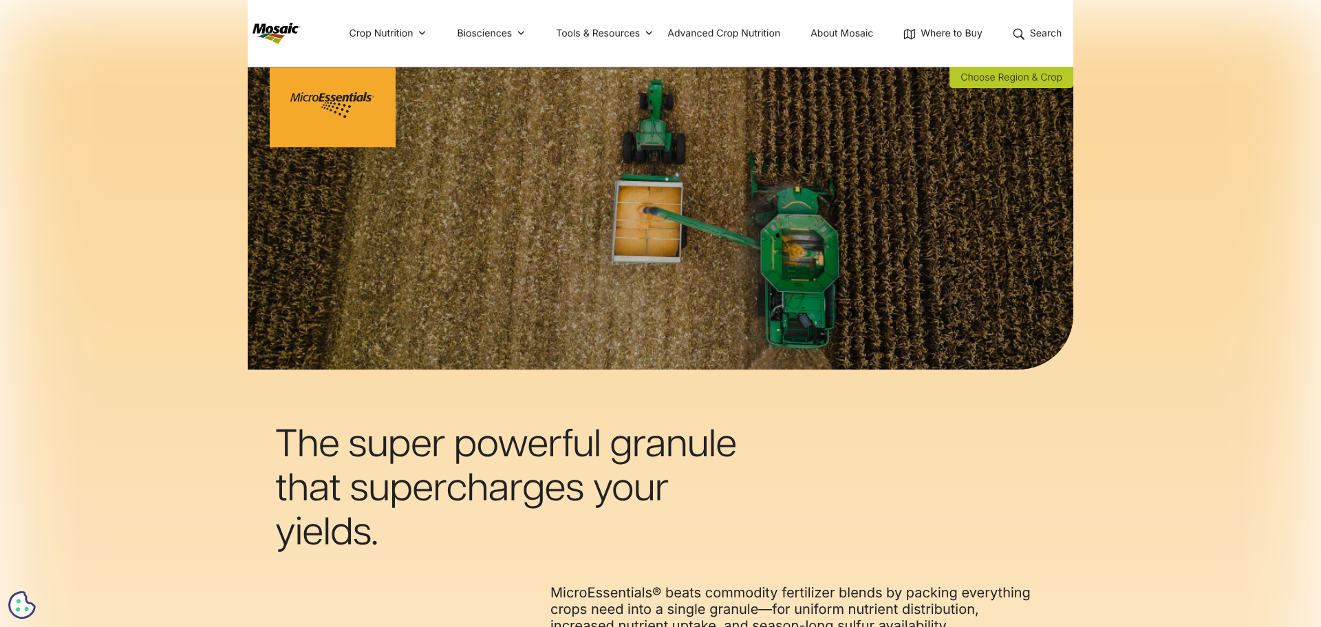 Case Study: MicroEssentials by Mosaic